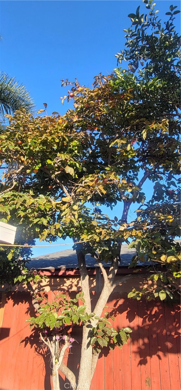 Detail Gallery Image 20 of 44 For 10181 Larson Ave, Garden Grove,  CA 92843 - 4 Beds | 4 Baths