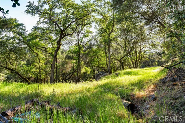 Detail Gallery Image 20 of 31 For 0 Iron Mine Rd, Auburn,  CA 95602 - – Beds | – Baths