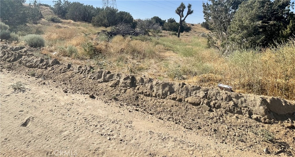 MLS #HD25174648 image #10