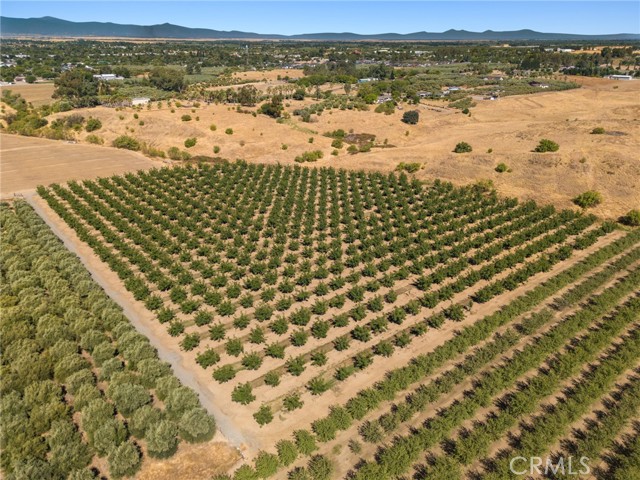 Detail Gallery Image 22 of 29 For 23375 Moon Rd, Corning,  CA 96021 - 4 Beds | 2 Baths