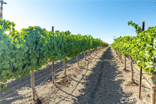 Detail Gallery Image 17 of 35 For 61173 Argyle Rd, King City,  CA 93930 - 3 Beds | 1 Baths