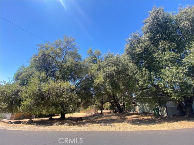 Front Image Thumbnail for CRLC26176318