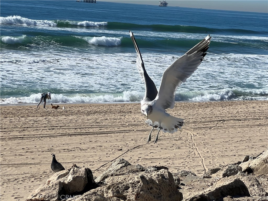 https://media.crmls.org/medias/61f90ad7-05a1-4387-b5ec-ea0ce5128b66.jpg?preset=X-Large