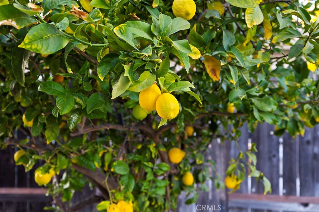 https://media.crmls.org/medias/61fc1088-78cc-46d1-a8e6-66bb64bafd1a.jpg?preset=X-Large