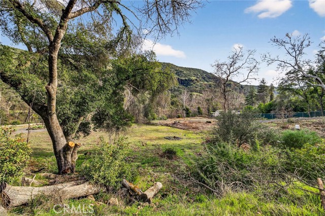 Detail Gallery Image 26 of 43 For 12738 Centerville Road, Chico,  CA 95928 - – Beds | – Baths