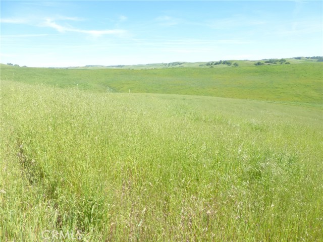 Detail Gallery Image 7 of 40 For 0 Douglas Rd. (Lot 43), San Miguel,  CA 93451 - – Beds | – Baths