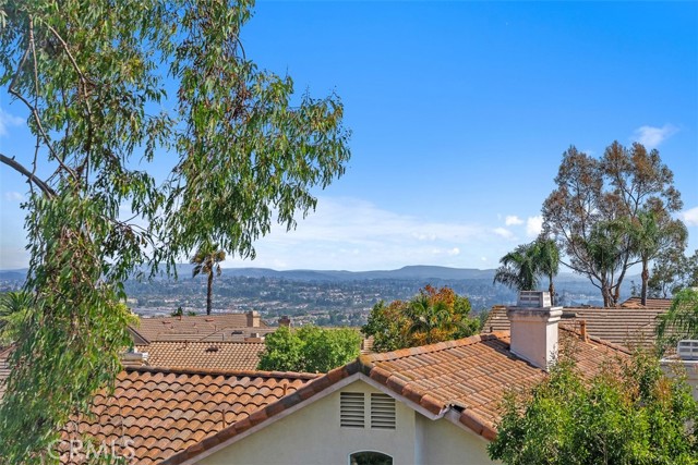 28532 Chimney Rock Circle, Trabuco Canyon CA: https://media.crmls.org/medias/620c6014-bfc1-44be-b12f-17599b6bfe3e.jpg