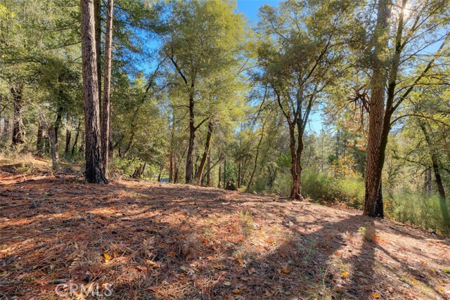 Detail Gallery Image 34 of 41 For 3625 Charqui Ct, Oroville,  CA 95965 - 3 Beds | 2 Baths