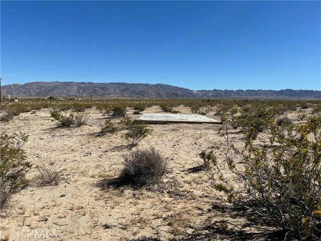 Detail Gallery Image 3 of 21 For 70373 Nandina St, Twentynine Palms,  CA 92277 - – Beds | – Baths