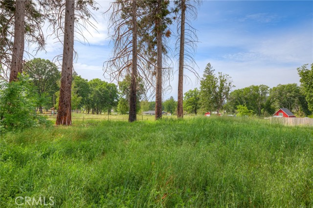 Detail Gallery Image 9 of 13 For 1676 Mulberry Ln, Paradise,  CA 95969 - – Beds | – Baths