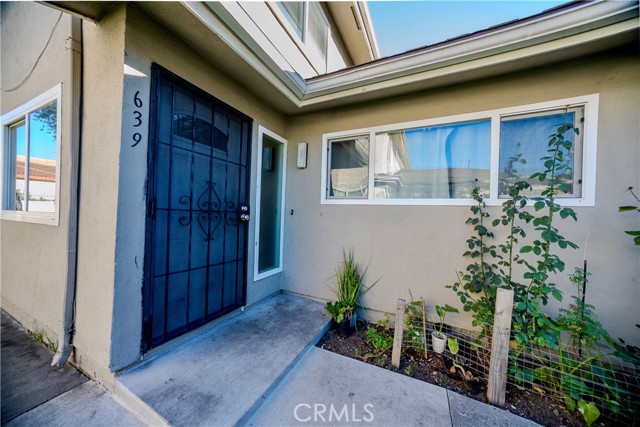 Front Image Thumbnail for CRSR25268648