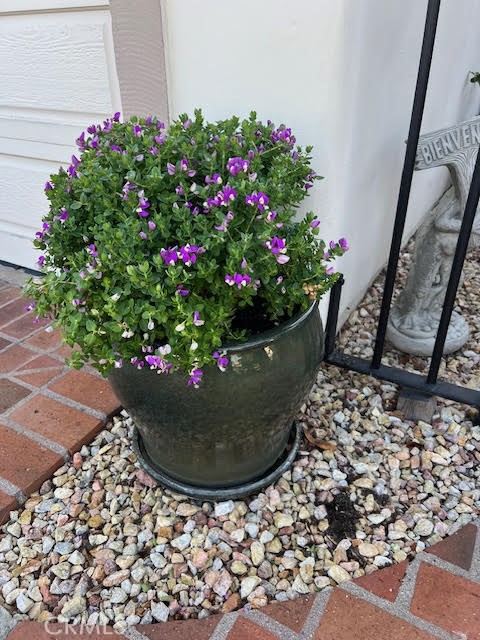 Flower Pot Entry Near Wrought Iron Gate