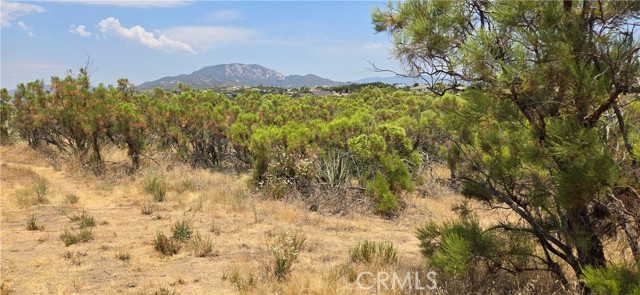 1011 Roan Way, Aguanga, California 92536, ,Land,For Sale,1011 Roan Way,CRSW24143304