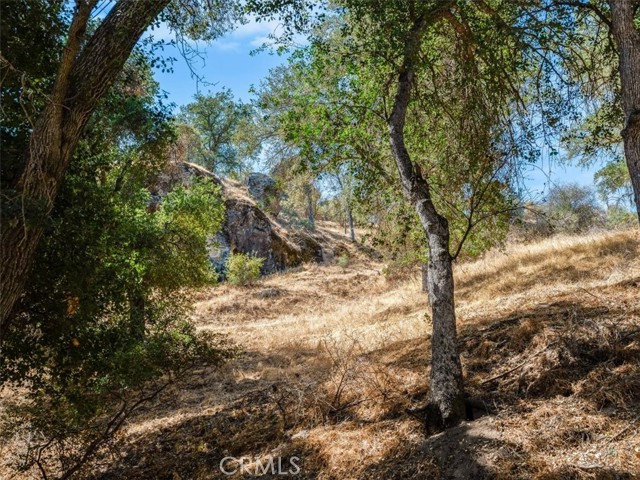 Detail Gallery Image 4 of 69 For 1575 Parkhill Rd, Santa Margarita,  CA 93453 - 4 Beds | 2/1 Baths