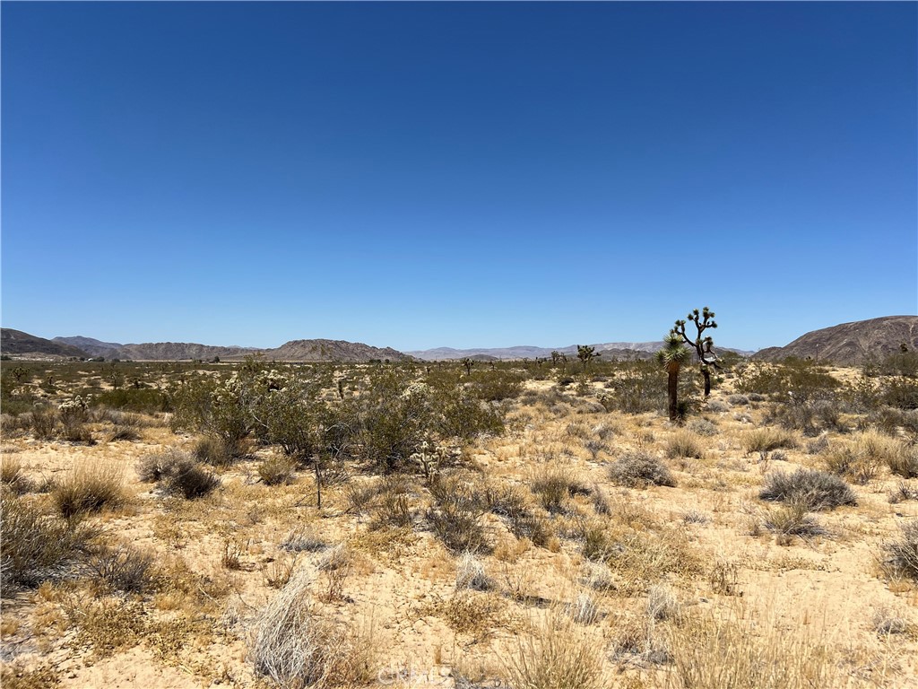 MLS #SW24134801 image #3