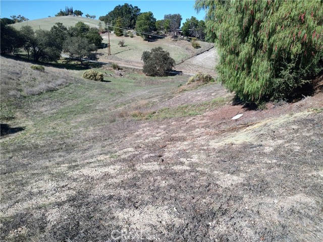 Detail Gallery Image 40 of 41 For 880 Tracy, Templeton,  CA 93465 - 4 Beds | 3/1 Baths