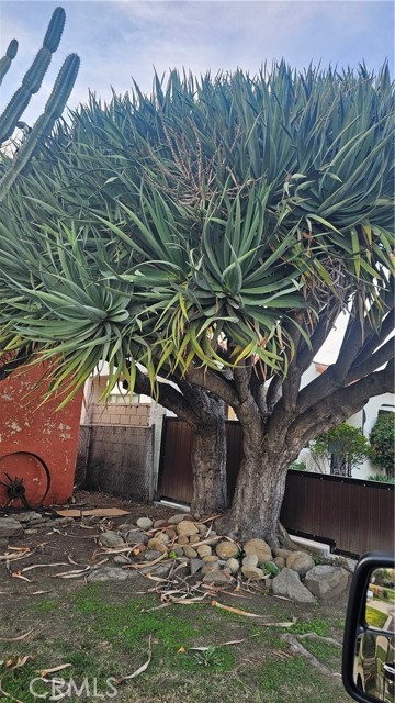 109 South Dunning Street photo 4