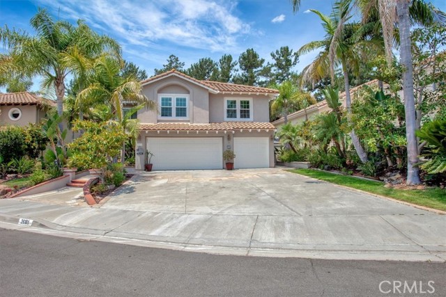 Front Image Thumbnail for CROC25239487