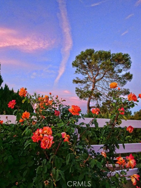 Detail Gallery Image 44 of 52 For 5 Cayuse Ln, Rancho Palos Verdes,  CA 90275 - 5 Beds | 5 Baths