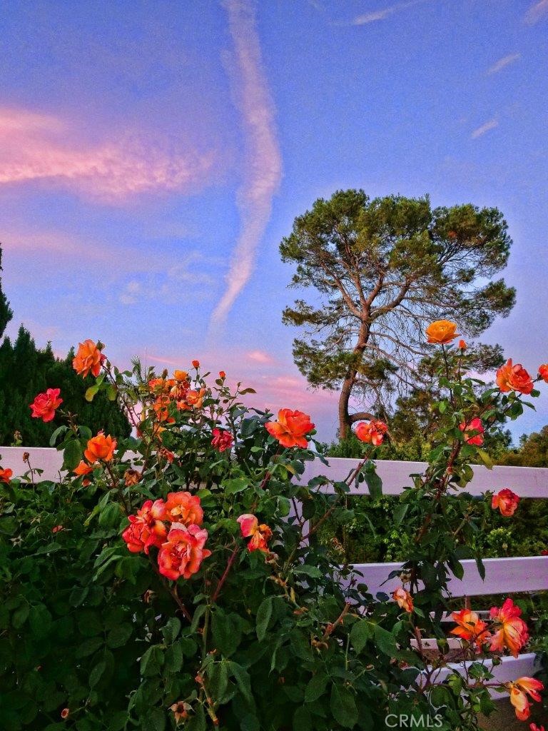 https://media.crmls.org/medias/623f26df-3ae8-4603-96c3-17b4aaa05a95.jpg?preset=X-Large