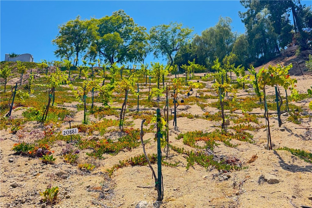 https://media.crmls.org/medias/623f309d-1a3a-4442-8ea5-2a2cbab06298.jpg?preset=X-Large