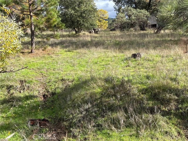 5906 Pine Top Drive, Mariposa CA: https://media.crmls.org/medias/624bdfbb-b76a-4c93-b95c-13f2bac94c1d.jpg