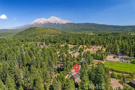 Detail Gallery Image 3 of 41 For 1231 W Scenic Dr, Mount Shasta,  CA 96067 - 4 Beds | 2 Baths