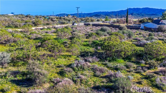 Detail Gallery Image 61 of 71 For 1 Apple Rd, Anza,  CA 92539 - – Beds | – Baths