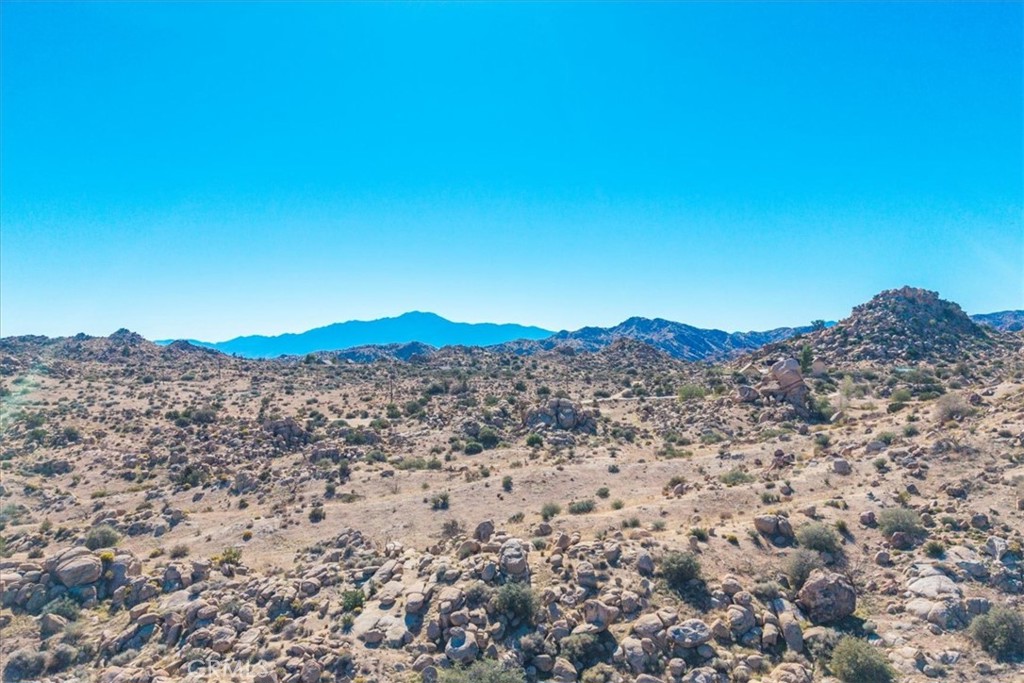 MLS #JT25250010 image #30