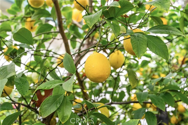 Detail Gallery Image 44 of 53 For 342 Mission Serra Ter, Chico,  CA 95926 - 3 Beds | 2 Baths