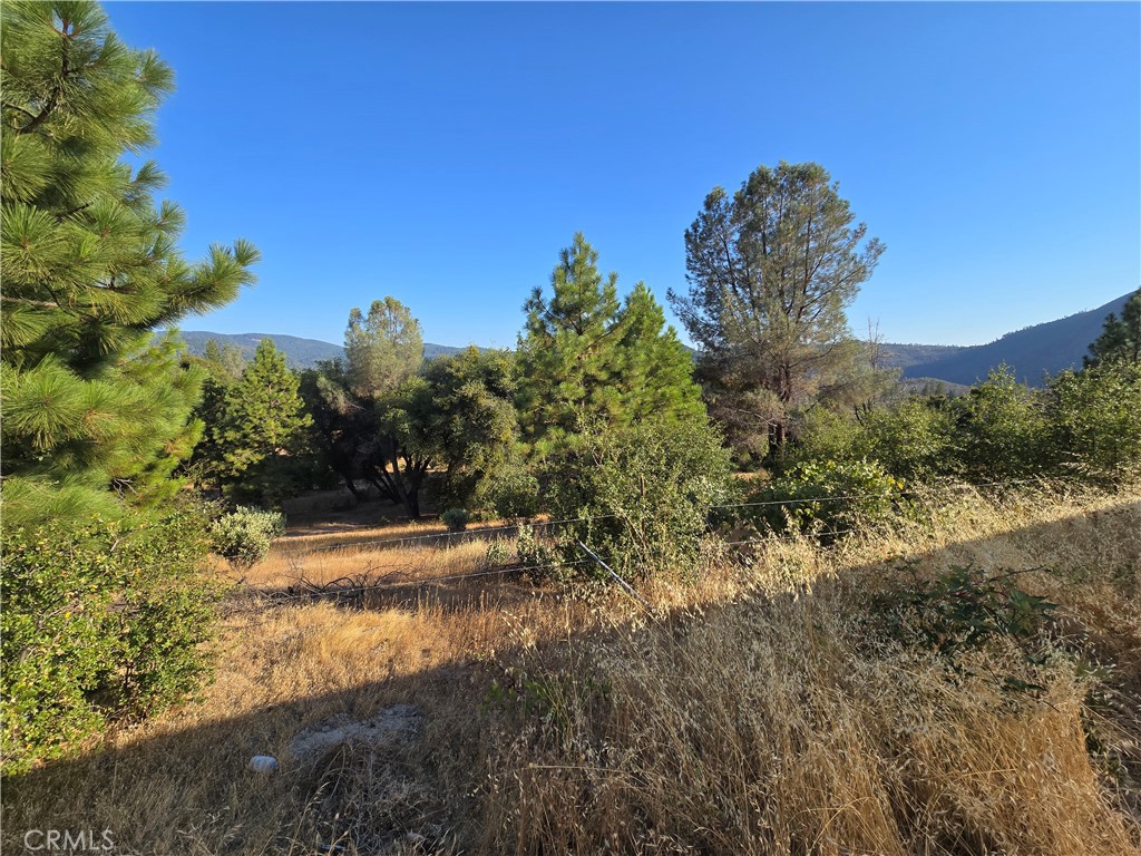 https://media.crmls.org/medias/62575049-d59c-438d-8086-1872089148be.jpg?preset=X-Large