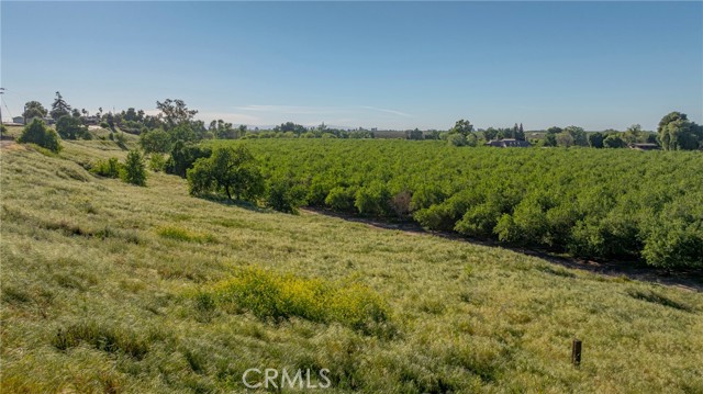 Detail Gallery Image 22 of 23 For 0 Livingston Cressey Rd, Livingston,  CA 95334 - – Beds | – Baths