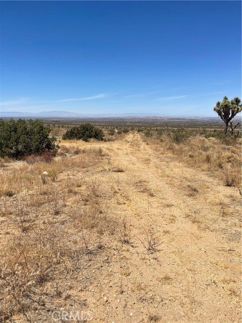  Land for Sale in Llano, California