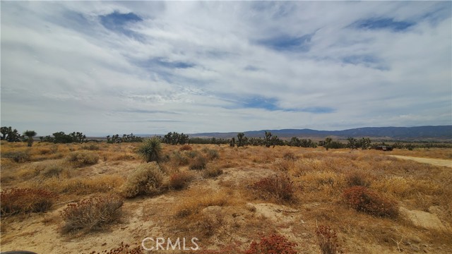 0 Vicinity Kingbird & 243rd St W, Rosamond, California 93560, ,Land,For Sale,0 Vicinity Kingbird & 243rd St W,CRSR23155108