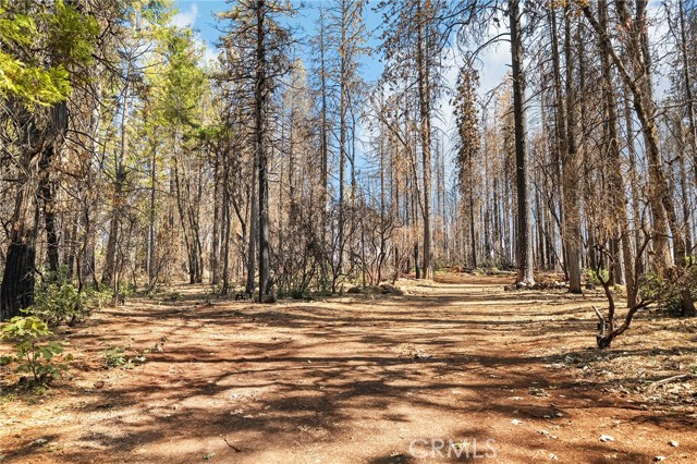 10860 Cohasset Road, Chico CA: https://media.crmls.org/medias/62613b90-707c-47df-9d0b-adeed86dcdf0.jpg