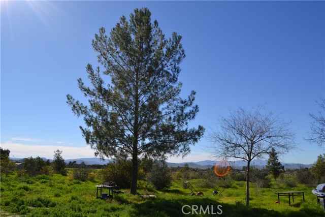 Image 7 of 38 For 29580 Patelli Way