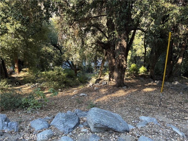 Detail Gallery Image 5 of 6 For 39480 Prospect Dr, Forest Falls,  CA 92339 - – Beds | – Baths