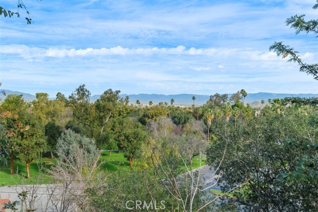 Detail Gallery Image 32 of 41 For 4121 Park View, Riverside,  CA 92501 - 3 Beds | 2/1 Baths