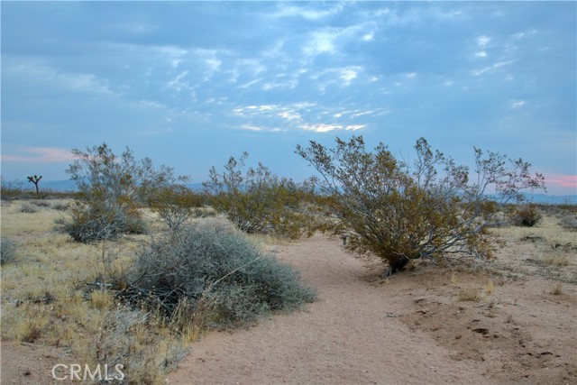 Detail Gallery Image 19 of 24 For 0 Venus St, Joshua Tree,  CA 92252 - – Beds | – Baths