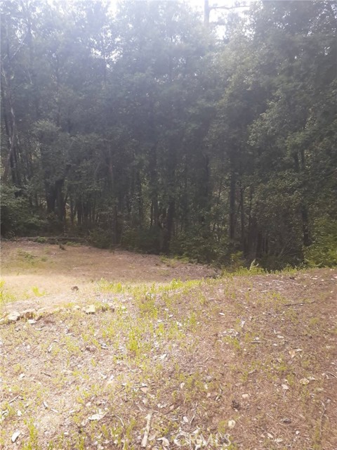 Detail Gallery Image 51 of 58 For 38160 Ocean Ridge Dr, Gualala,  CA 95445 - – Beds | – Baths