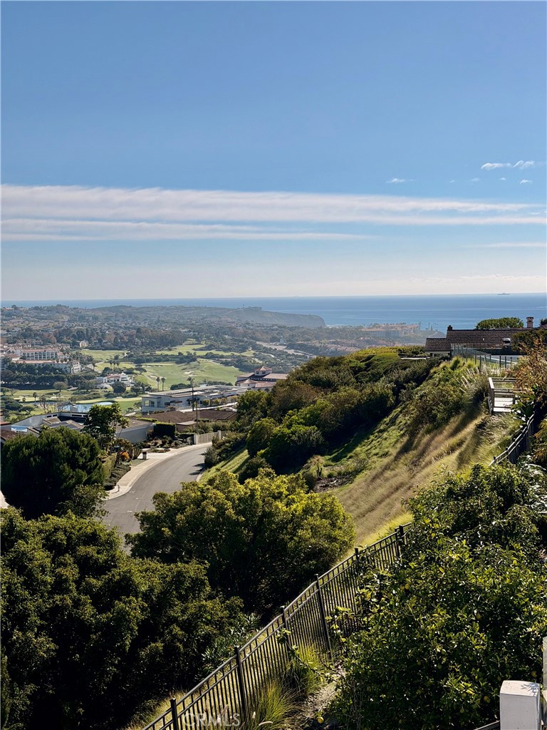 MLS #OC25010978 image #60