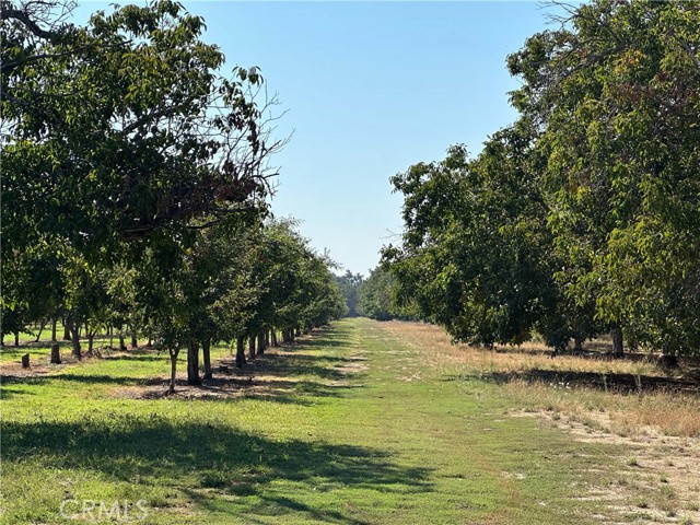 24365 Oklahoma Avenue, Red Bluff CA: https://media.crmls.org/medias/627ce4af-fc49-488a-9529-f1ca892f5317.jpg