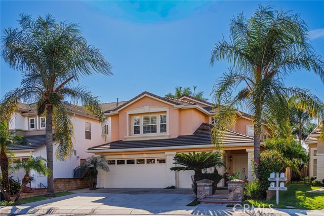 Front Image Thumbnail for CROC25258202