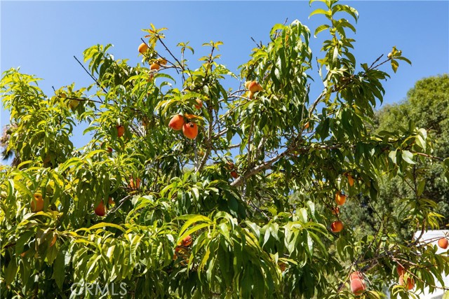 8 Buckskin Lane, Rolling Hills Estates, California 90274, 3 Bedrooms Bedrooms, ,1 BathroomBathrooms,Residential,Sold,Buckskin,SB21160245