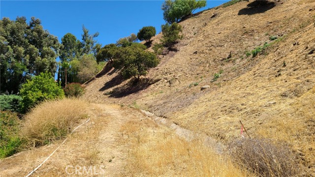 Detail Gallery Image 18 of 19 For 32 San Blas Ave, Woodland Hills,  CA 91364 - – Beds | – Baths