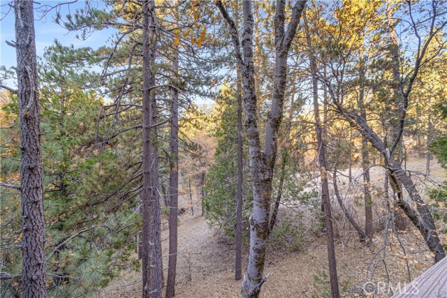 Detail Gallery Image 32 of 71 For 32703 Tulip Lane, Arrowbear,  CA 92382 - 2 Beds | 1 Baths