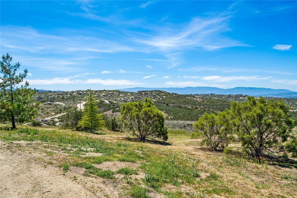 MLS #SW25198130 image #30