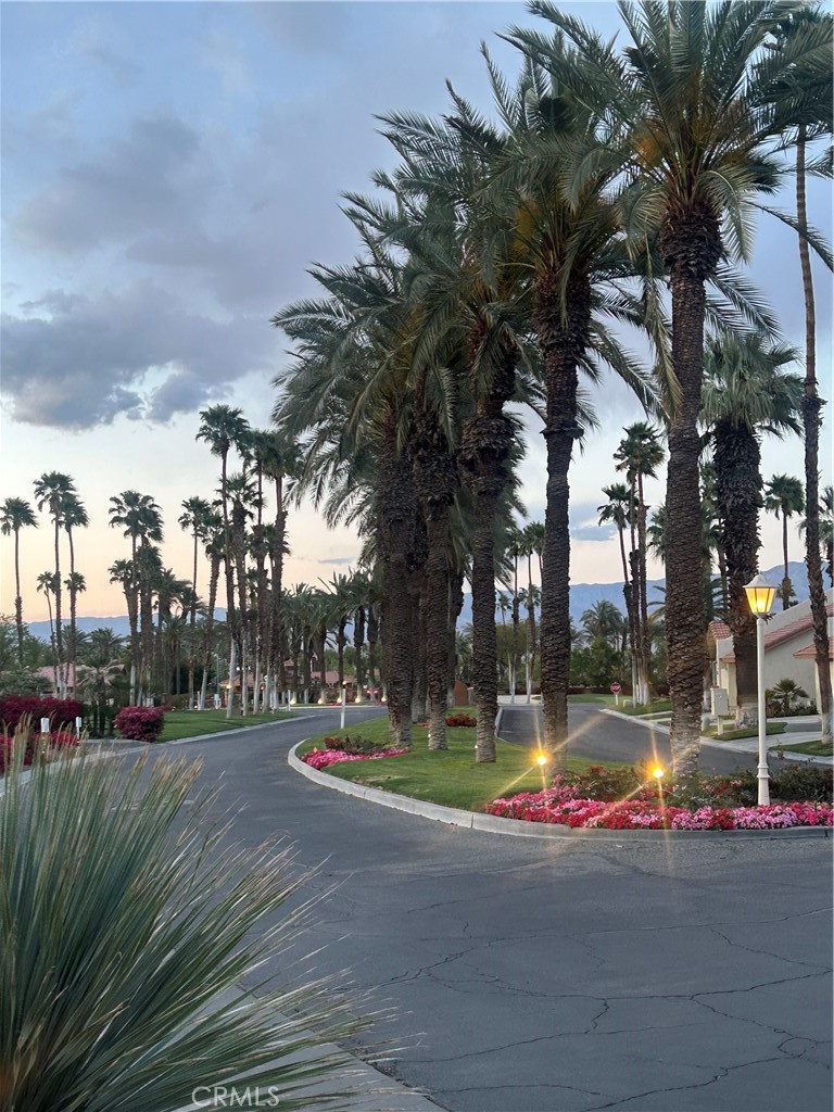 https://media.crmls.org/medias/62a2902a-23d4-47bc-8d82-875d5021aaef.jpg?preset=X-Large