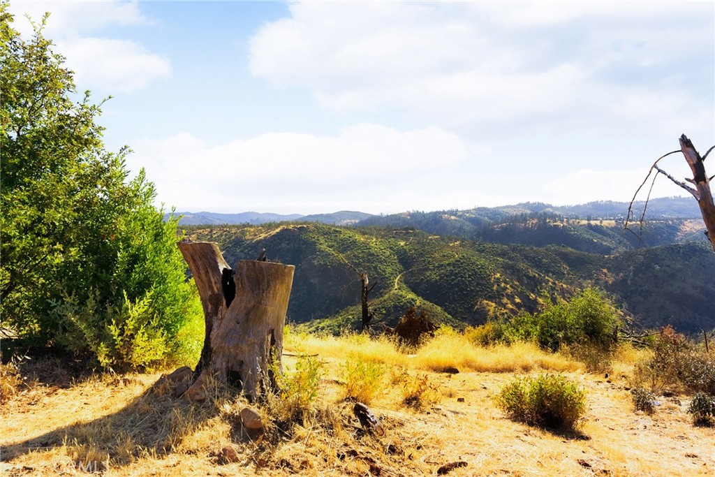 MLS #SN25248006 image #18