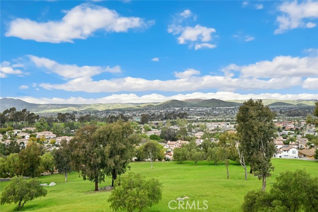 Detail Gallery Image 44 of 45 For 2439 Nielsen St, El Cajon,  CA 92020 - 3 Beds | 2/1 Baths